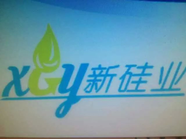 广州新硅业化工科技有限公司
