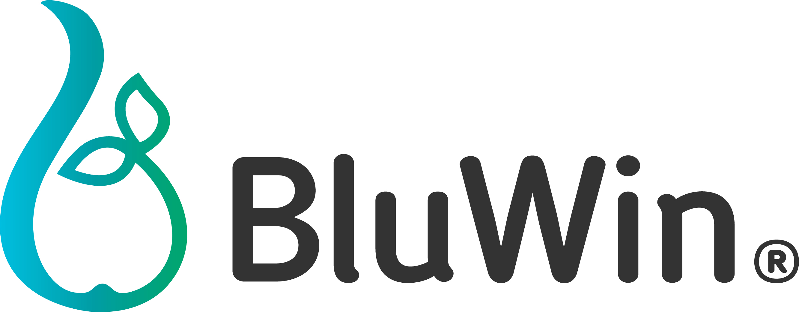 BluWin Ltd